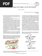 Arn Origen Del Origen