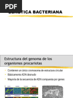 Genetica Bacteriana