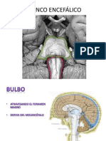 2 TRONCO ENCEFÁLICO Nervios Craneales PDF