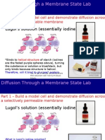 Lugol's Solution (Essentially Iodine)