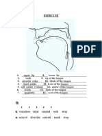 Exercise: Voiceless Velar Central Oral Stop Noiced Alveolar Central Nasal Stop