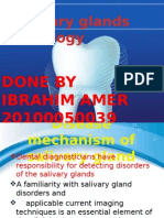 Salivary Gland Radiology Presentation