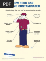  How Food Can Become Contaminated-Poster