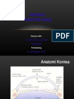 Referat Keratitis Virus