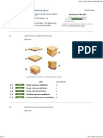 CH 4 & 5 Quiz Q & A From Site PDF