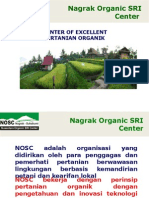 Presentasi Sri-Nosc 2010