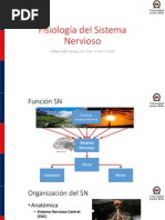 Fisiología Del Sistema Nervioso 