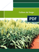 Cultura Sorgo