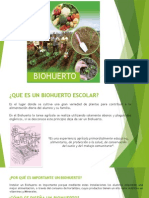 Bio Huerto