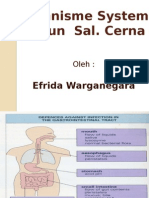 1.mekanisme System Imun Sal. Cerna & Infeksi Rongga Mulut - KBK