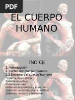 El Cuerpo Humano