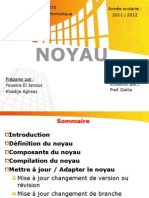 Noyau 1