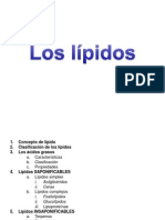 Lipidos