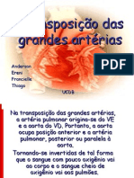 Transposição Das Grandes Artérias