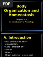 CH 14 1 Body Organization and Homeostasis