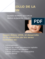 Desarrollo de La Oclusion