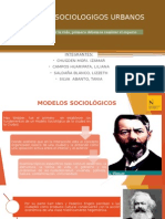 Modelos Sociológicos