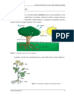 Diversidade de Plantas PDF