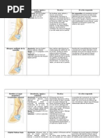 Bloqueos en Caballos