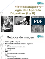 Anatomía y Semiología Básica Del Abdomen