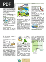 Contaminacion Triptico