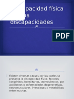 Discapacidad Física y Otras Discapacidades