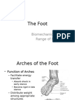 2 Foot Biomechanics and Rom