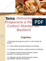 Culturi Starter de Bacterii