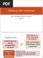 Obstrucción Intestinal