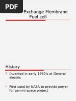 Proton Exchange Membrane Fuel Cell