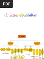 5 Clases de Palabras