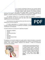 Resumen de Sistema Endocrino PDF