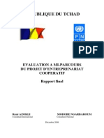 Rapport Microfinance Tchad PDF