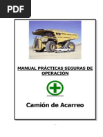 Manual de Seguridad Camion