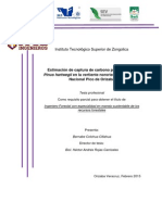 Estimación de Captura de Carbono Por La Especie Pinus Hartwegii en La Vertiente Nororiental Del Parque Nacional Pico de Orizaba