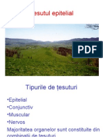 Tesuturi Epiteliale de Acoperire