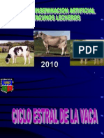 3 Ciclo Estral. Vacas