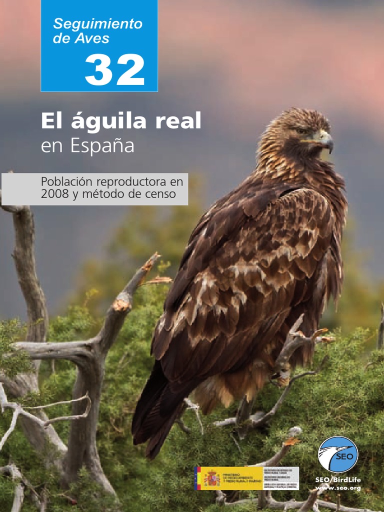 32 Aguila Real | PDF | Evolución | España