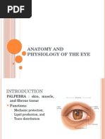 Anatomy and Physiology of The Eye