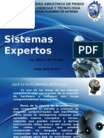 TEMA 1 Sistemas Expertos