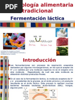 Fermentacion Lactica