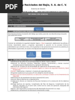 Descripcion y Perfil Puesto Jefe de Seguridad