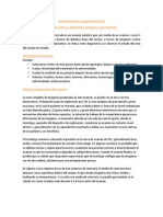 Tomografía Axial Computarizada (TAC) Con y Sin Contraste