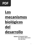 Mecanismos Biológicos Del Desarrolo