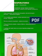 Aparato Respiratorio