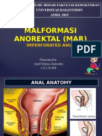 Malformasi Anorektal