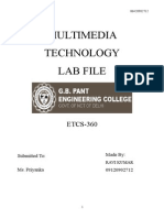 Multimedia