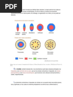 Ciencia Tecnología y Ambiente