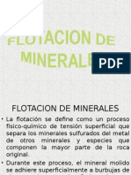 Flotacion de Minerales 1