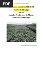 Proyecto de Modulos Productores de Maguey